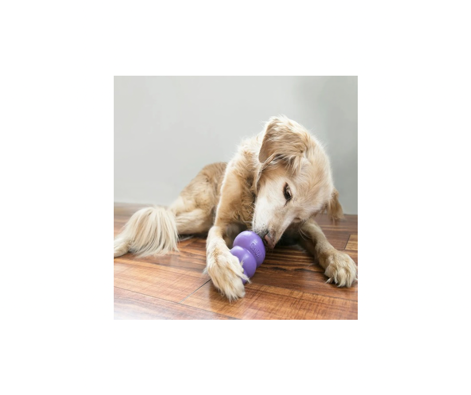 KONG Senior – Skånsomt tyggelegetøj til ældre hunde (S, M & L)