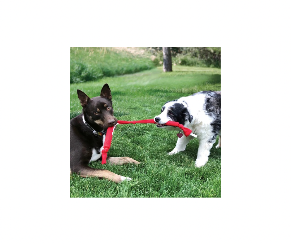 KONG Signature Crunch Rope – Holdbart & Sjovt Tyggelegetøj (Single, Double & Triple)