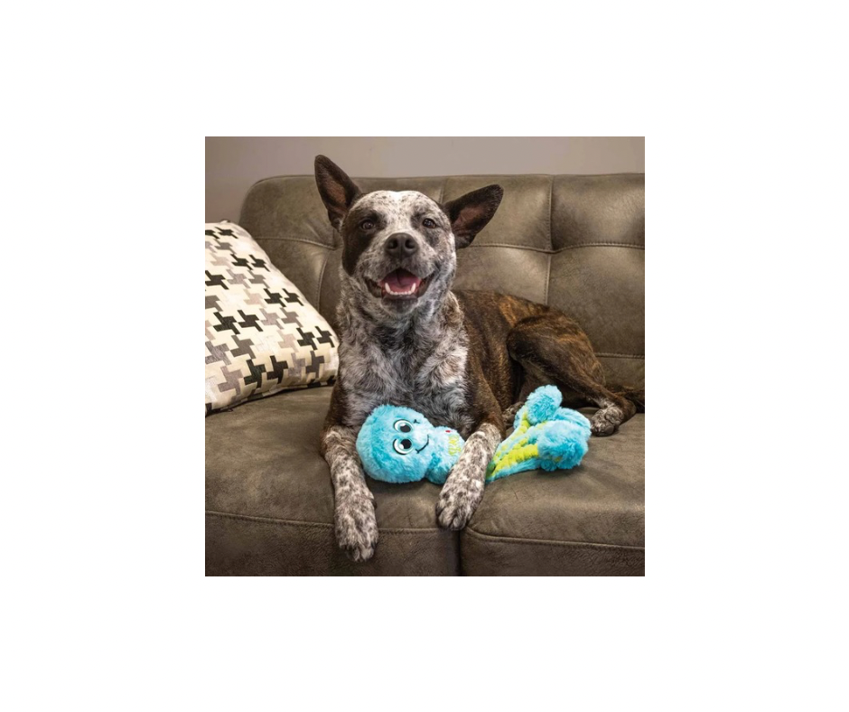 KONG Wubba Octopus – Sjovt & Blødt Hundelegetøj (L, 32,5 cm, Mix farver)