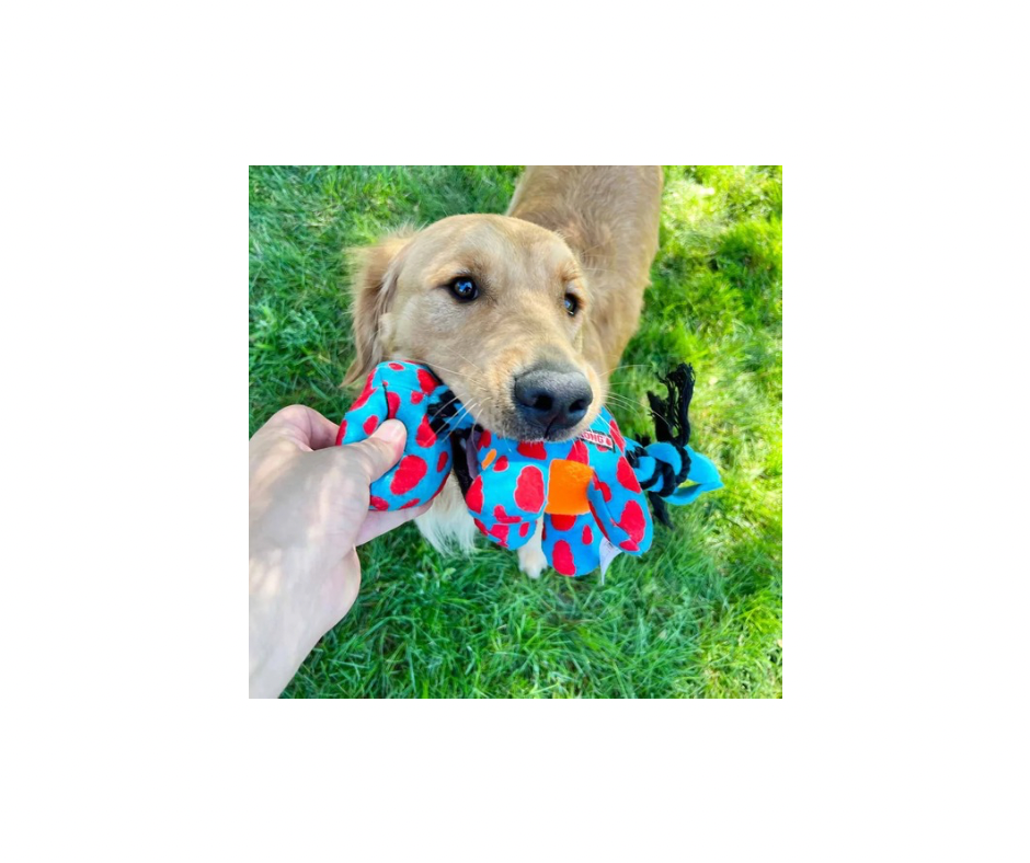 KONG Signature Dynos Mix – rystende sjov dinosaurusleg