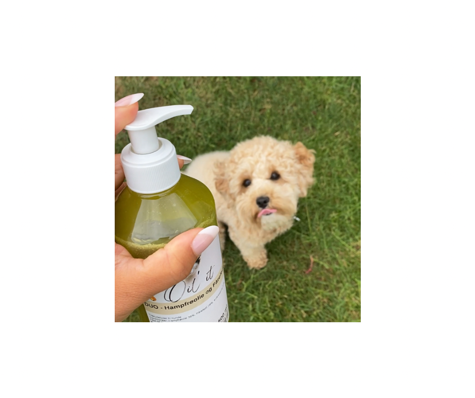 Oil'it DUO Fårefedt & Hampfrøolie – Naturligt tilskud til hunde (500 ml)