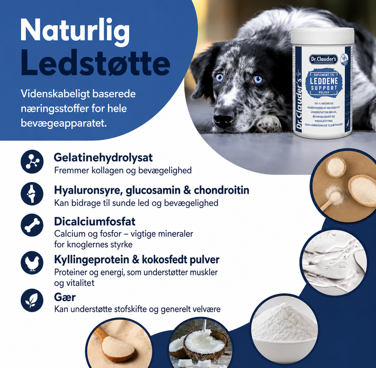 Dr. Clauder’s Joint Support Powder 500 g – ledtilskud til hund