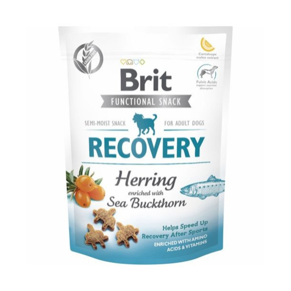 Brit Care Functional Snack Recovery – sild & havtorn | Støtter restitution og energi