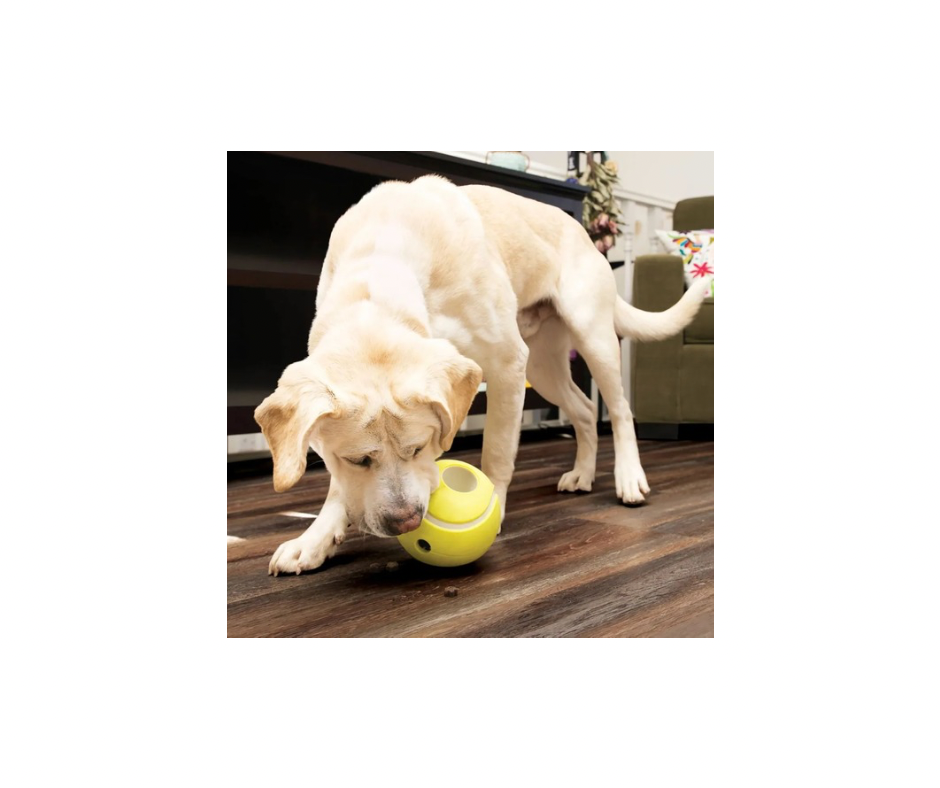 KONG Rewards Tennis (Small) – Sjov foderdispenser til små hunde