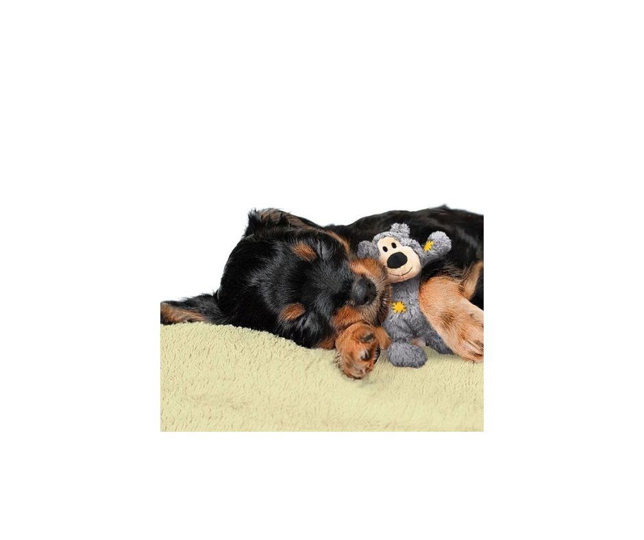 KONG Wild Knots Bjørn – Blød udenpå, stærk indeni (XS, S/M, M/L, XL & Jumbo XL)