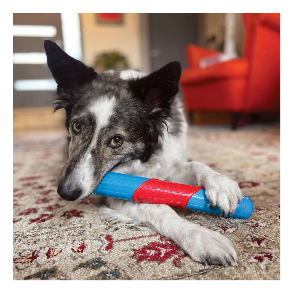 KONG Holiday CoreStrength Rattlez Stick – juletyggelegetøj med ranglelyd