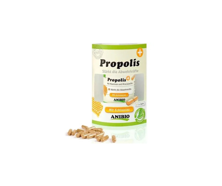 Anibio Propolis kapsler 60 stk. – Naturligt tilskud til immunforsvar og trivsel