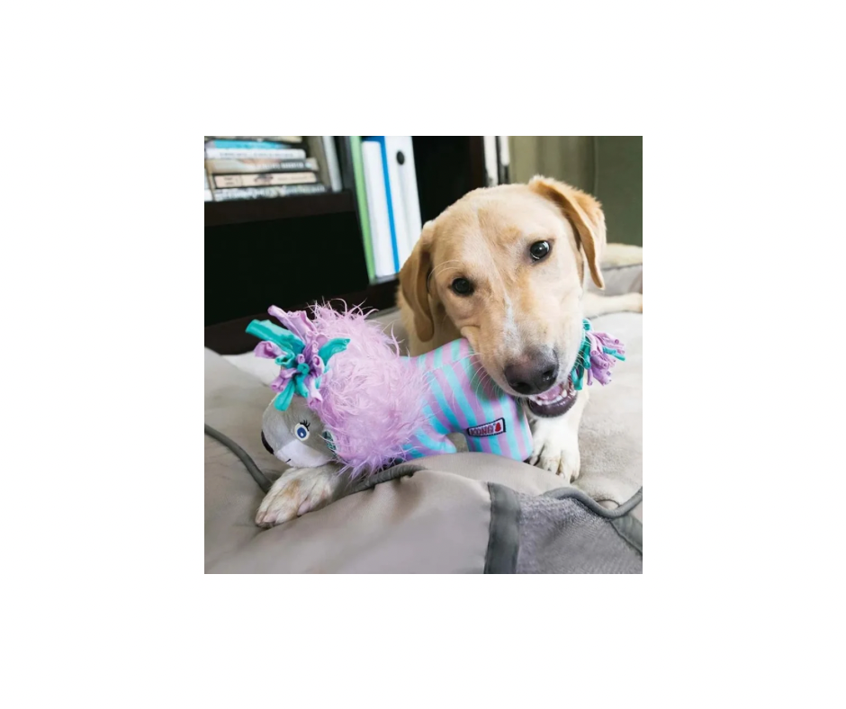 KONG Knots Carnivallion S/M – Sjovt og holdbart legetøj med reb og pivelyd