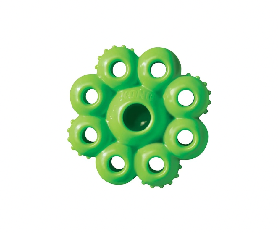 KONG Quest Star Podmix S – Sjovt snacklegetøj i assorterede farver