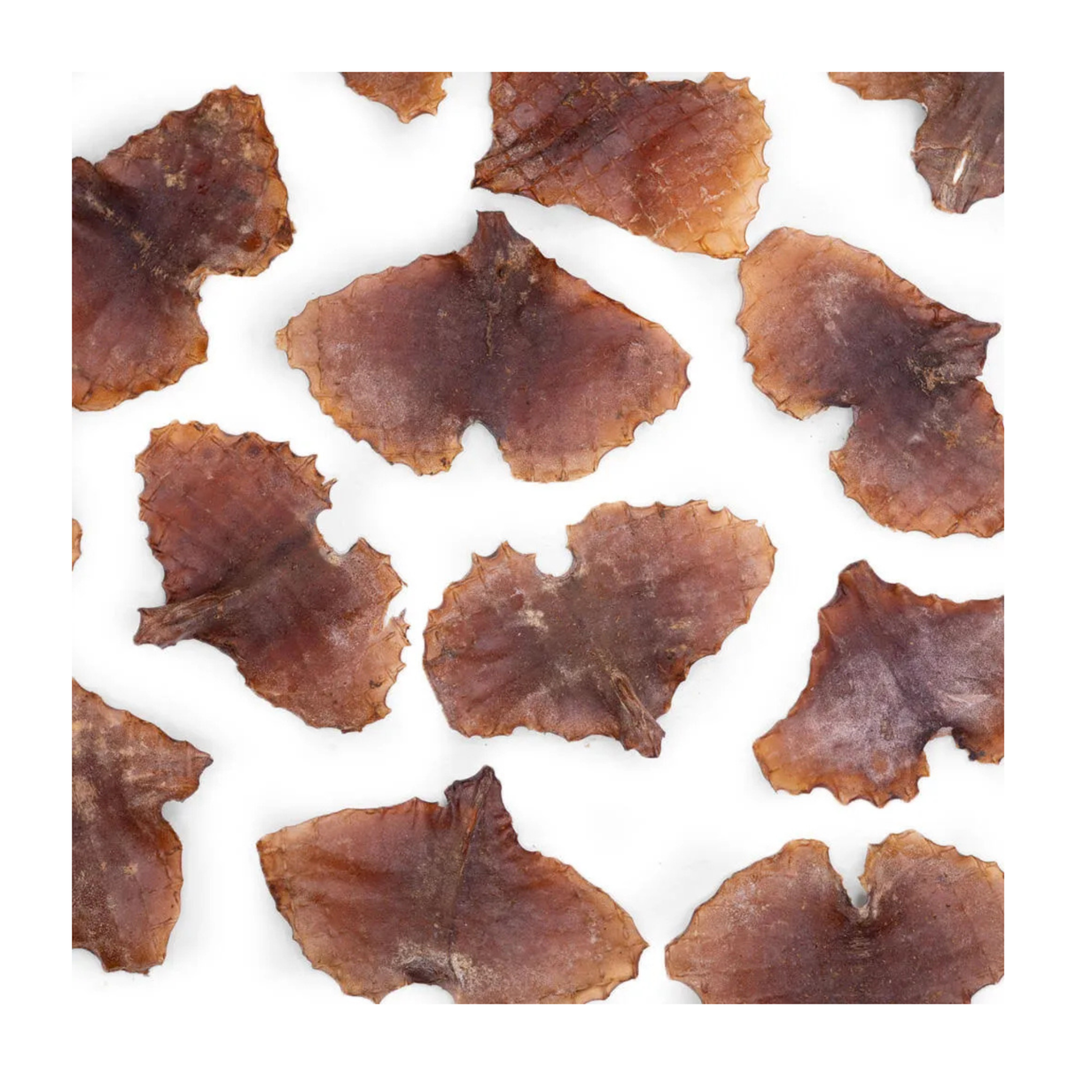 Snack'it Blæksprutteplader – 100% naturlig vildtprotein til hunde (250 g)