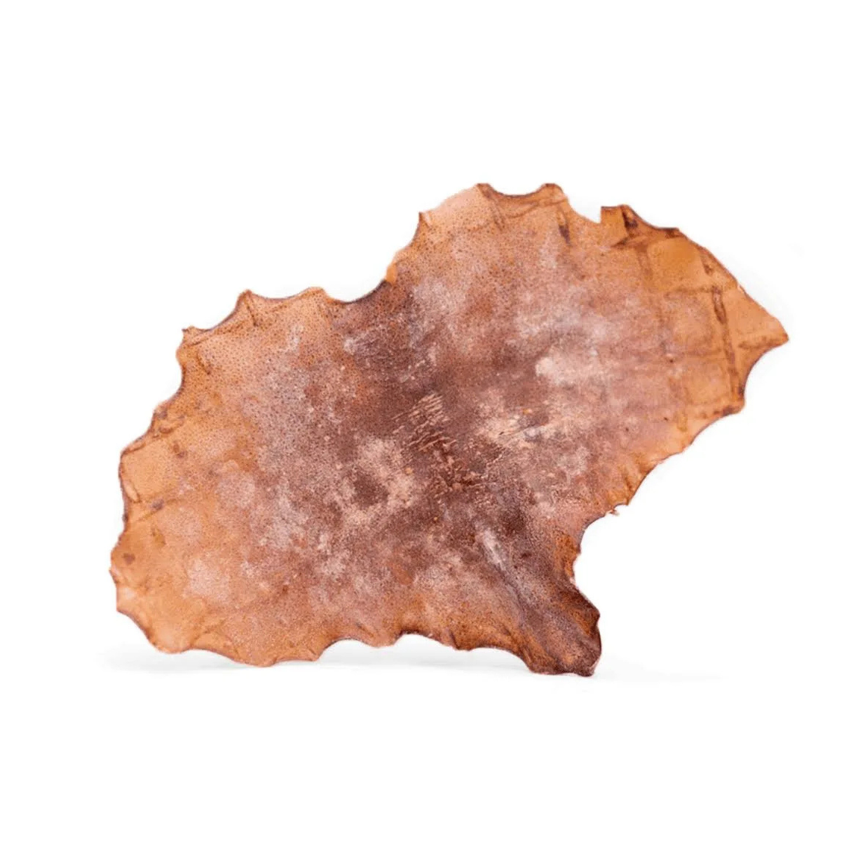 Snack'it Blæksprutteplader – 100% naturlig vildtprotein til hunde (250 g)