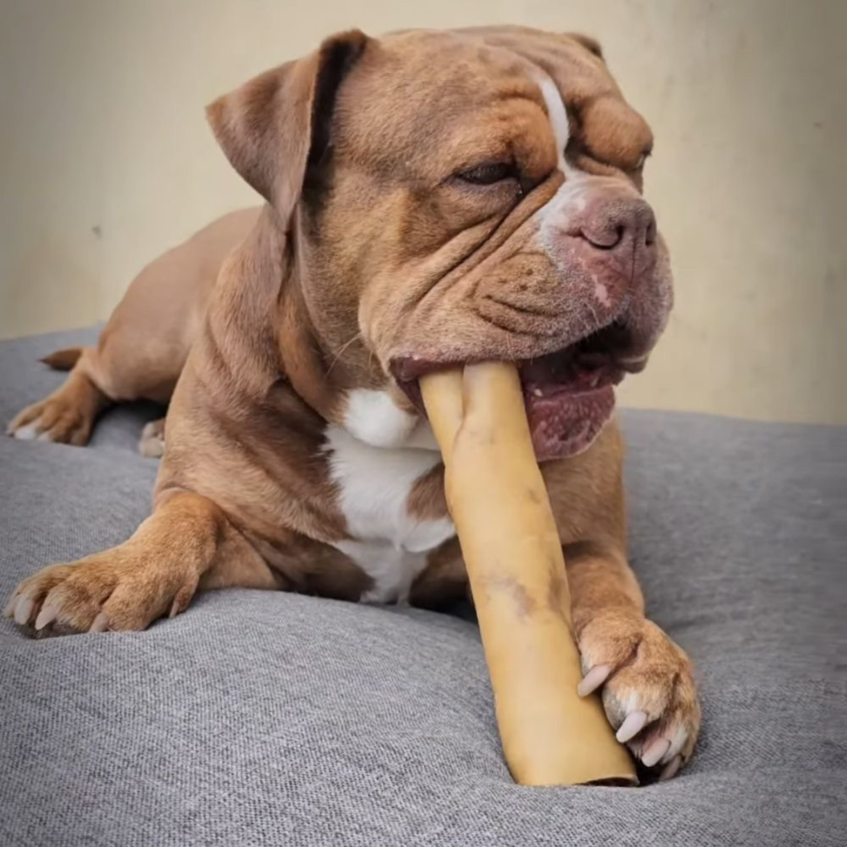 Snack'it Pandebraskruller 25 cm – 1 kg (Okse) Premium