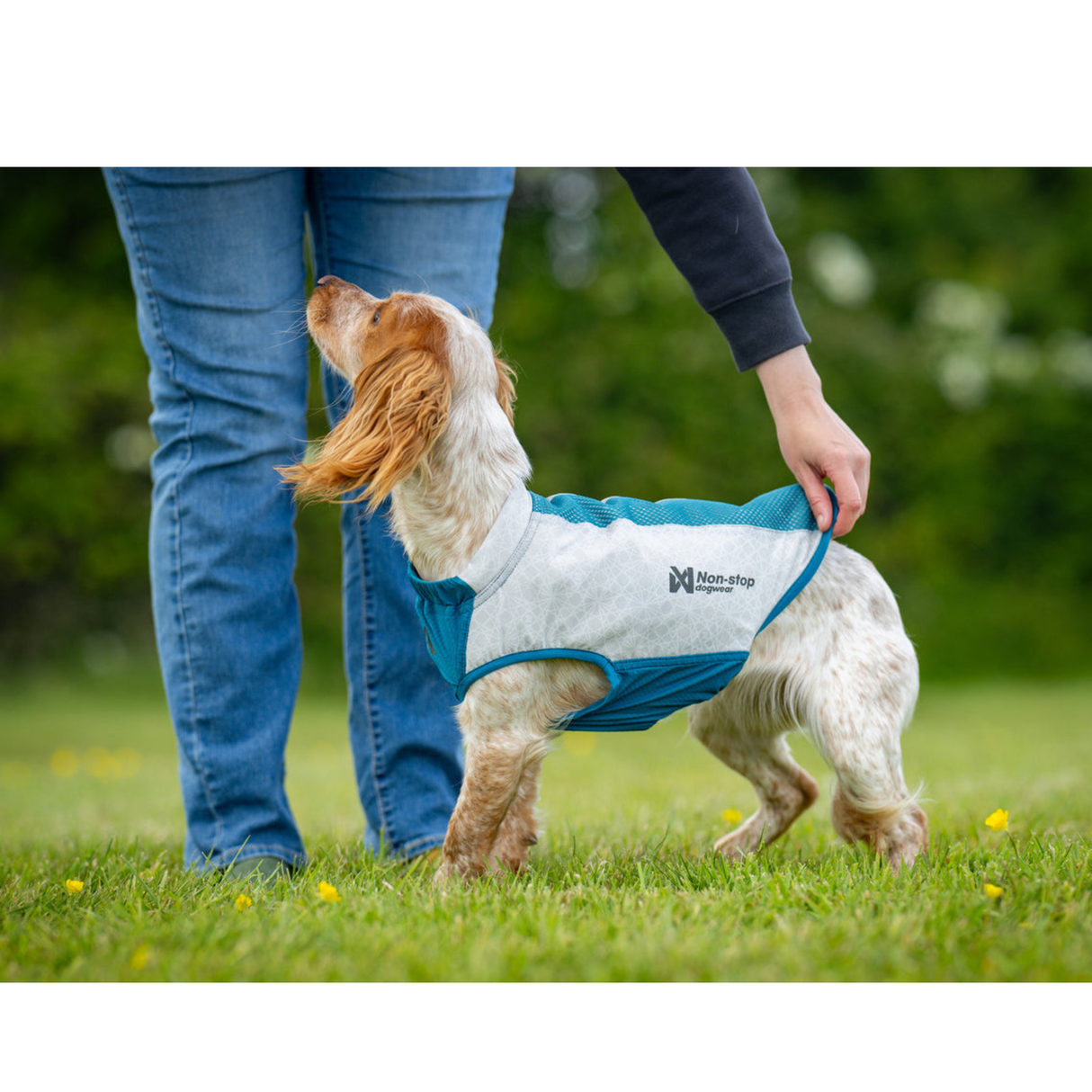 Non-stop Dogwear Cooling Pull-On Vest – effektiv kølevest til varme sommerdage