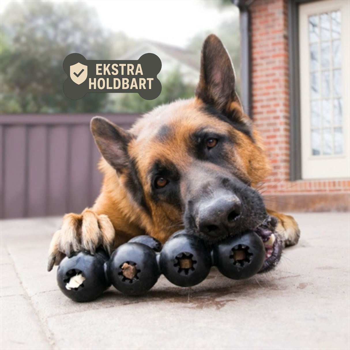 KONG Extreme Goodie Ribbon – ultimativ aktivering til hunde med stærke kæber