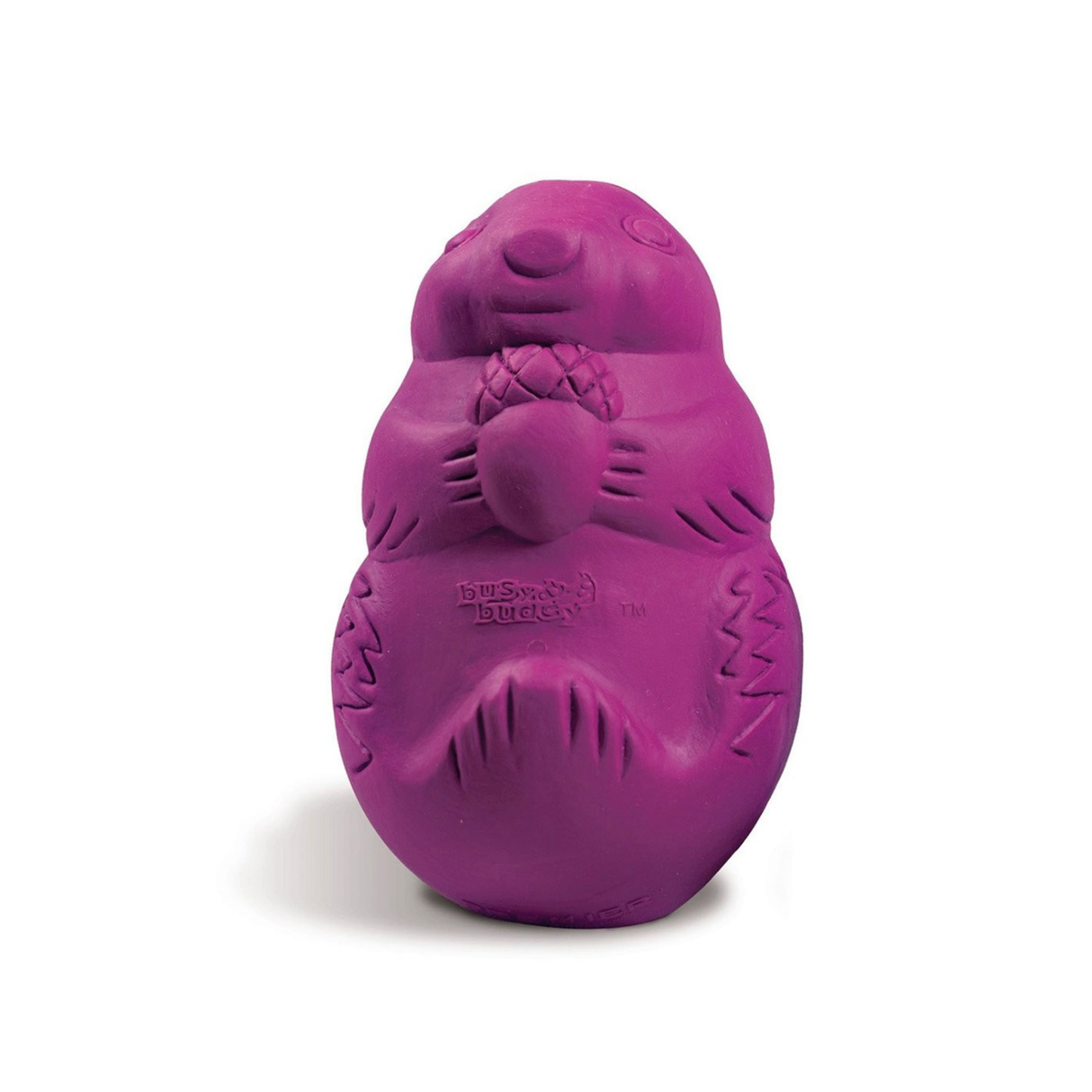 Busy Buddy SquirrelDude – robust snacklegetøj til aktivering (S)