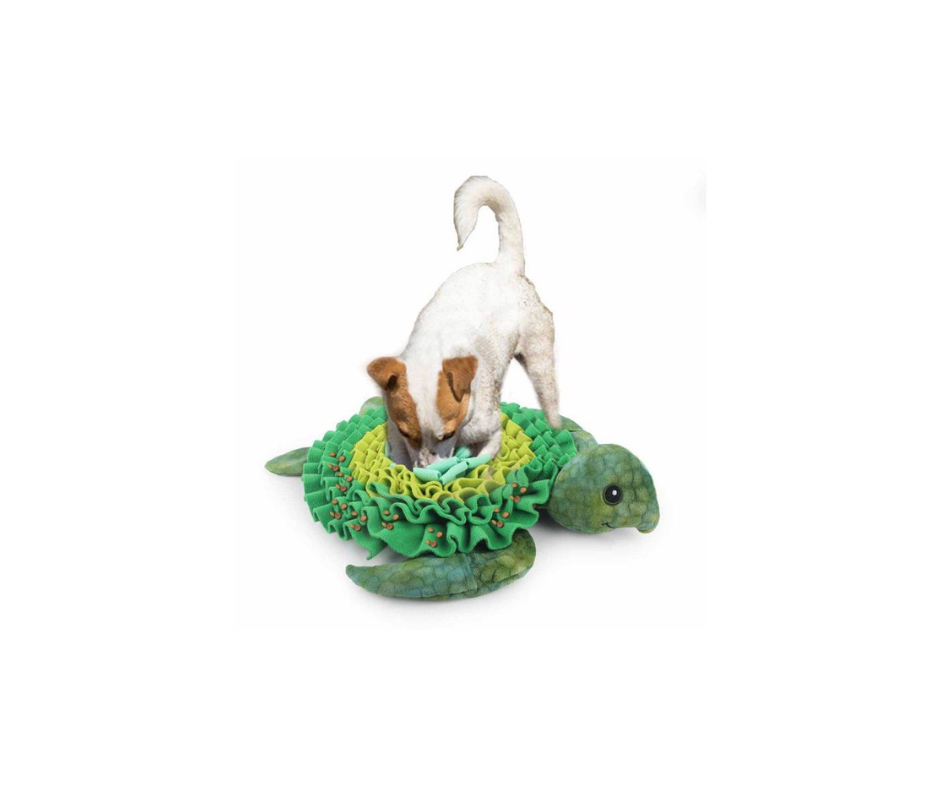 AFP - Snusemåtte Broccoli – Aktiveringsmåtte til hunde 52x50x5 cm