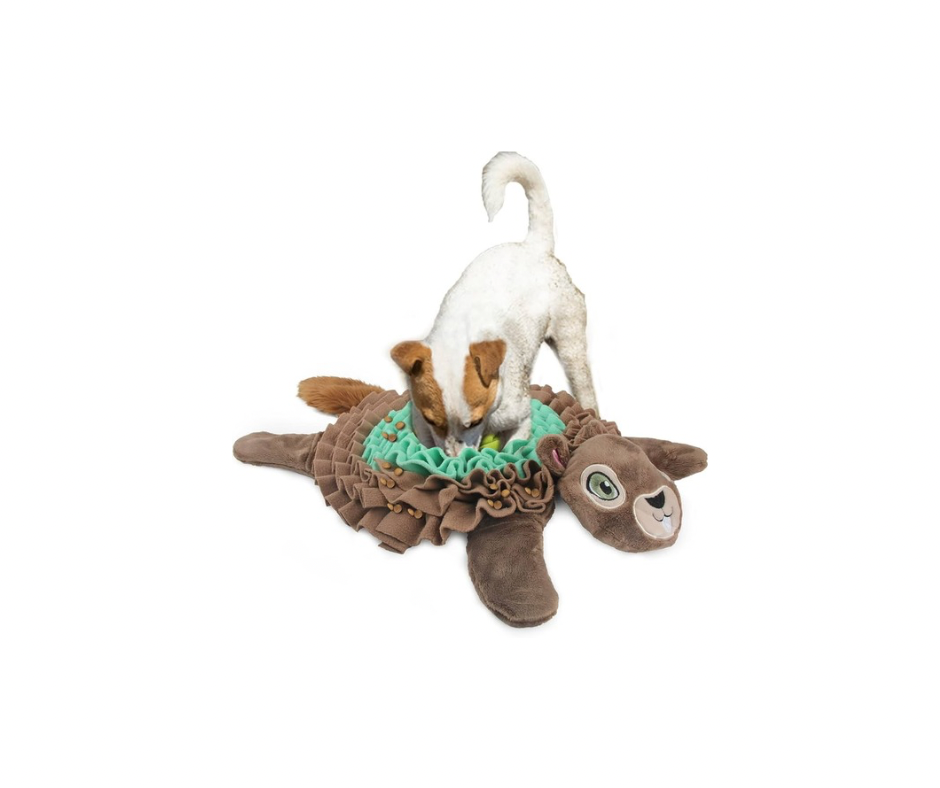 AFP - Snusemåtte Egern – Sjov aktivering til din hund 60x42x8 cm