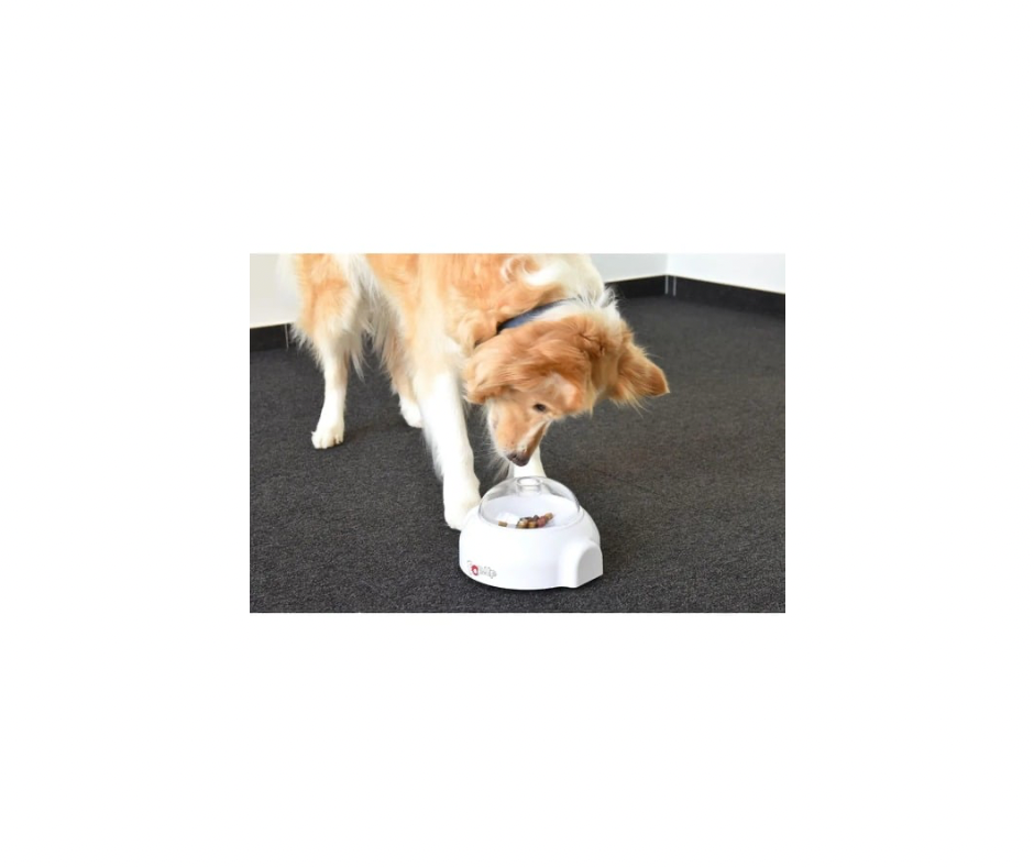 Pop-up Treat Toy – Interaktiv Godbidsleg for Din Hund