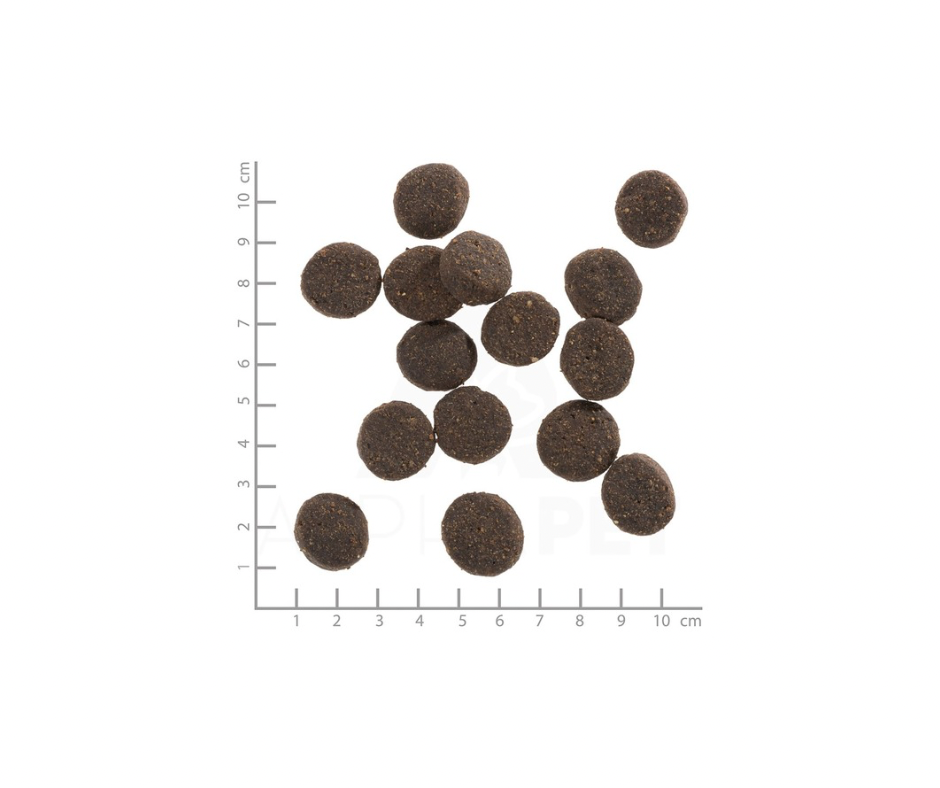 Wolfsblut Blue Mountain Adult 2 kg – Kornfrit fuldfoder med vildt og kanin