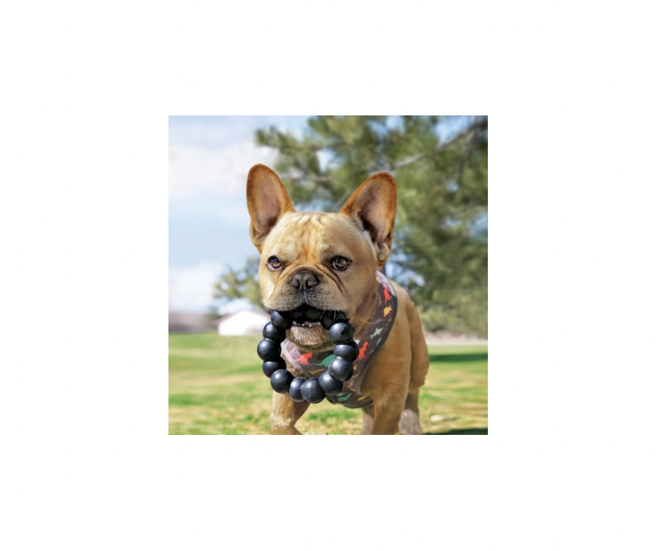 KONG Extreme Ring XL – Holdbart Tyggelegetøj i Naturgummi