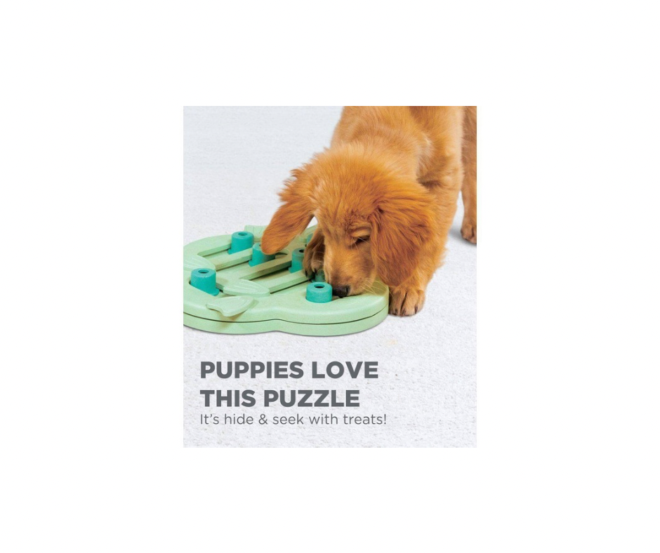 Puppy Hide N’ Slide Grøn – Interaktivt hundepuslespil (Level 2)