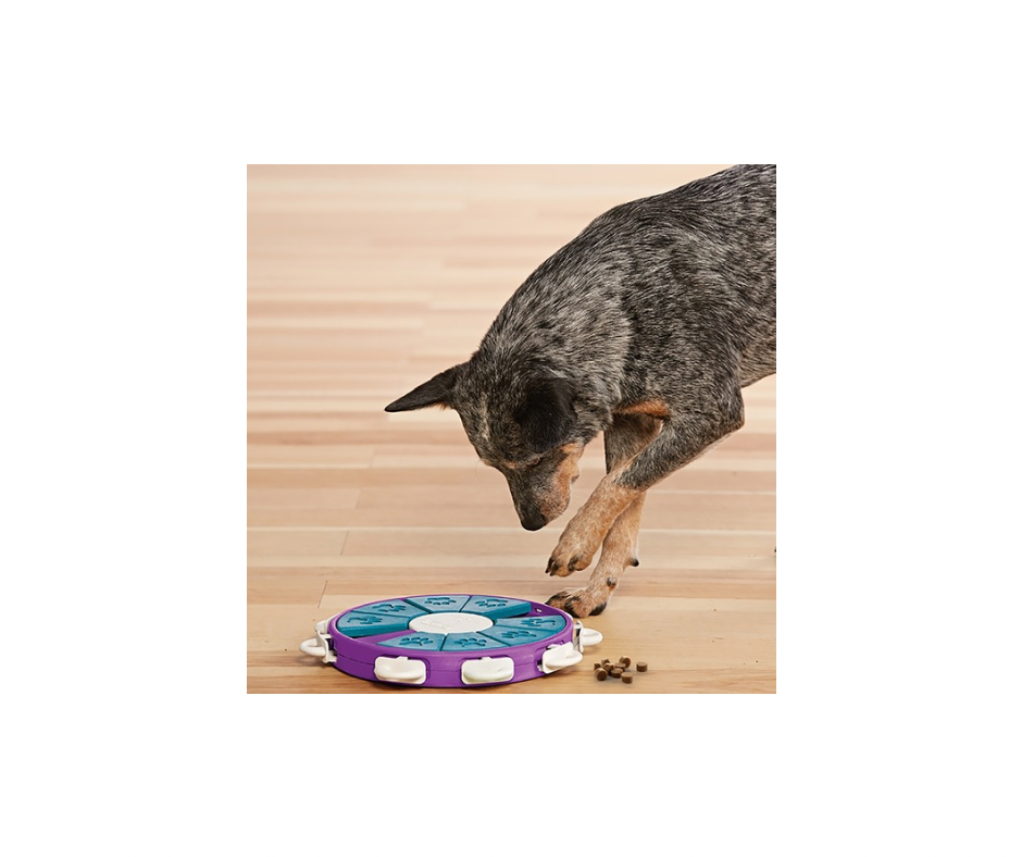 Nina Ottosson Level 3 – Dog Twister & Dog Casino