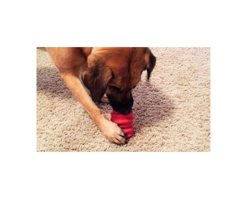 Gorrrrilla Classic Hundelegetøj – Ekstra Holdbart Aktivitetslegetøj til Hunden