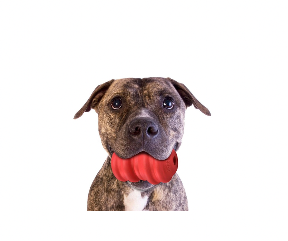 Gorrrrilla Classic Hundelegetøj – Ekstra Holdbart Aktivitetslegetøj til Hunden