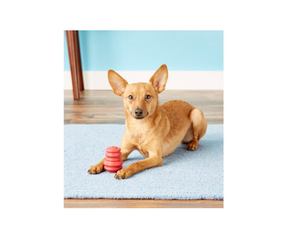 Gorrrrilla Classic Hundelegetøj – Ekstra Holdbart Aktivitetslegetøj til Hunden