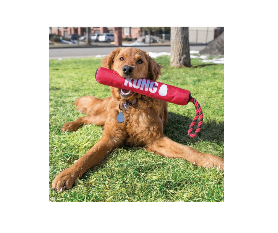 KONG Signature Stick med Reb – Sjov og Holdbar Leg for Hunde