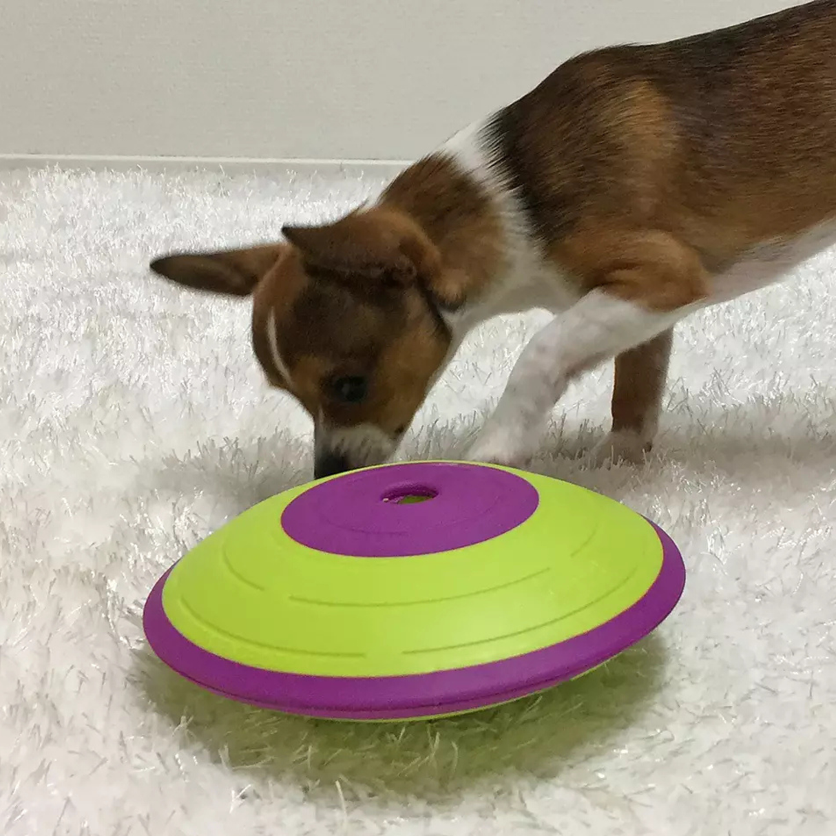 Nina Ottosson Dog Treat Maze – Sjovt aktiveringsspil for alle hunde