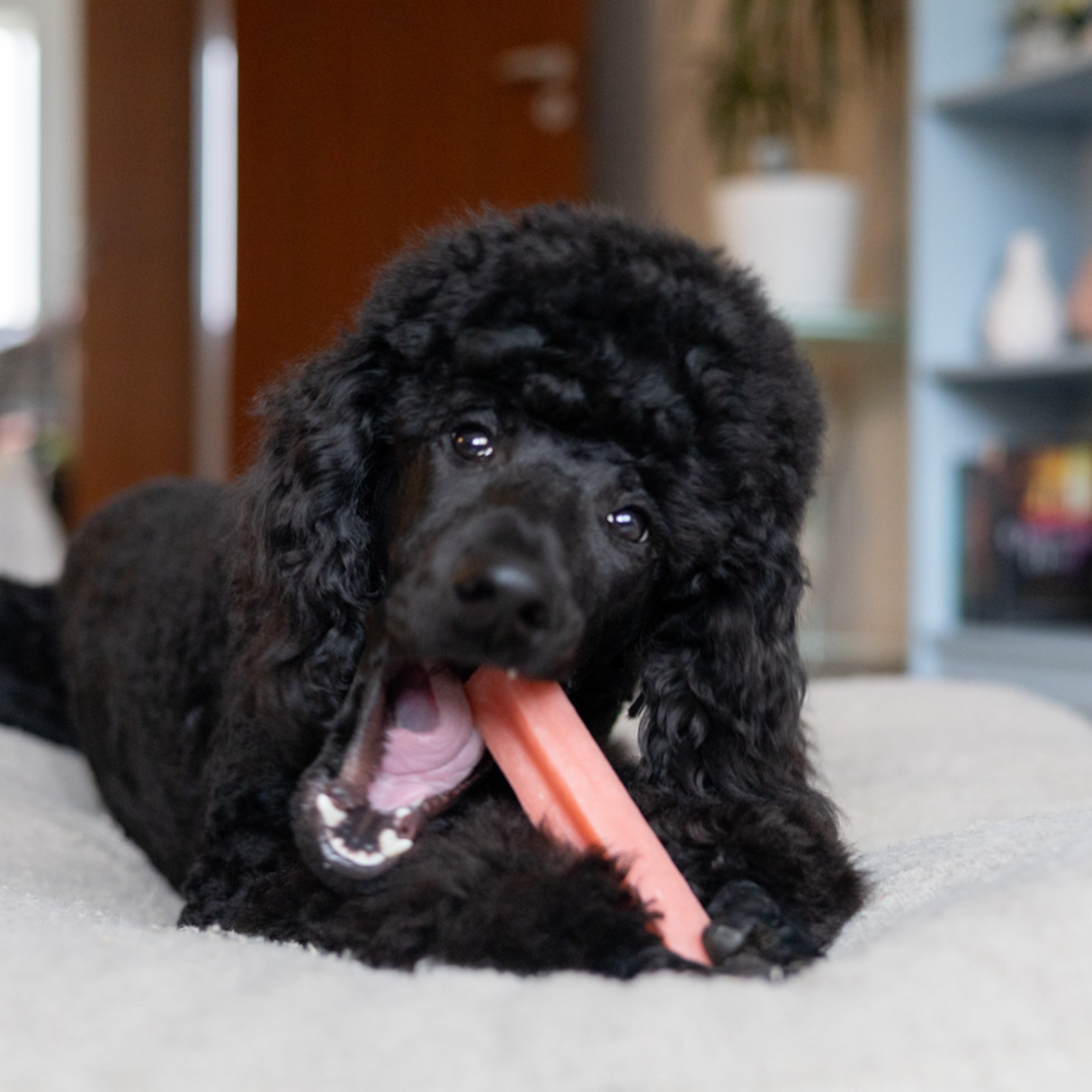 Yaki Jordbær – Vegetarisk ostesnack med lang tyggetid