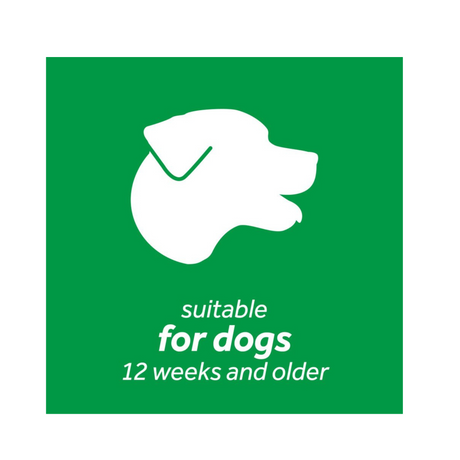 TropiClean Oral Care Kit – Tandplejesæt til Hunde (Små Hunde & Alle Hunde, 59 ml)