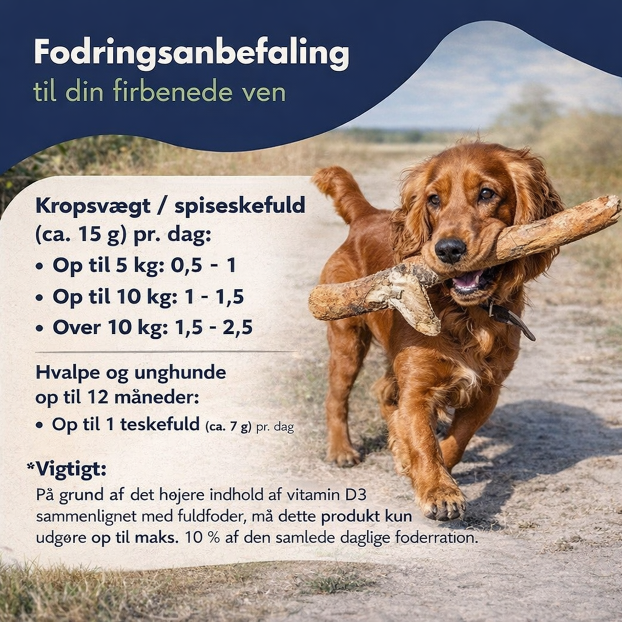 Dr. Clauder’s Pigment Activ Carrot Pellets – naturlig pigmentstøtte til hunde