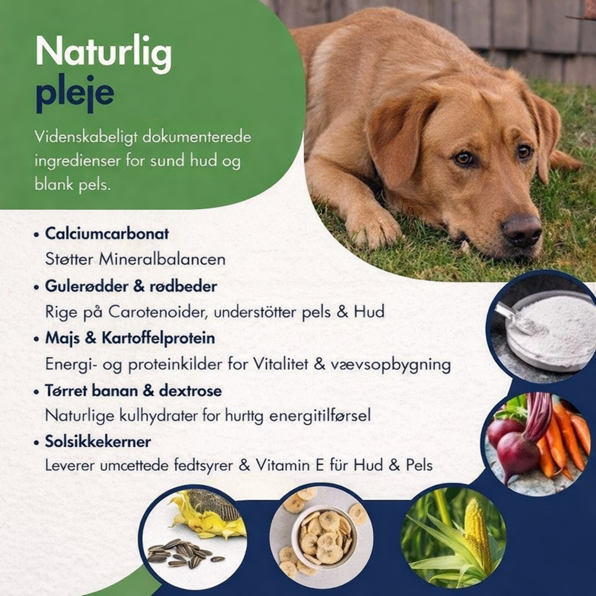 Dr. Clauder’s Pigment Activ Carrot Pellets – naturlig pigmentstøtte til hunde
