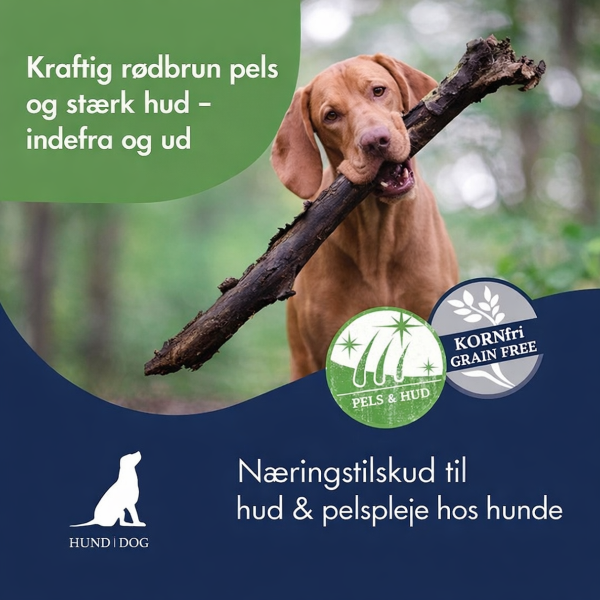 Dr. Clauder’s Pigment Activ Carrot Pellets – naturlig pigmentstøtte til hunde
