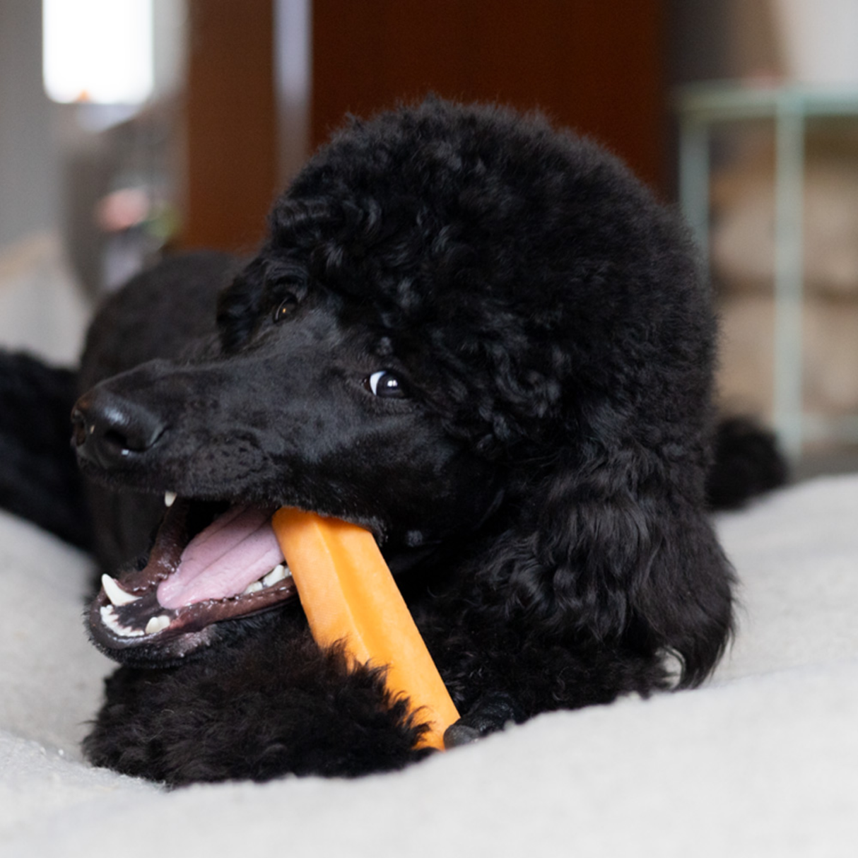 Yaki Gulerod – vegetarisk tyggesnack med lang tyggetid