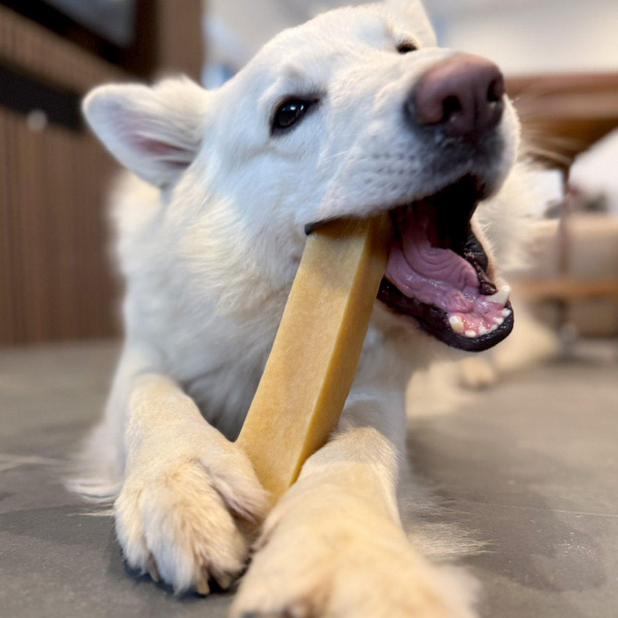 Yaki Peanutbutter – vegetarisk tyggesnack med ekstra lang tyggetid