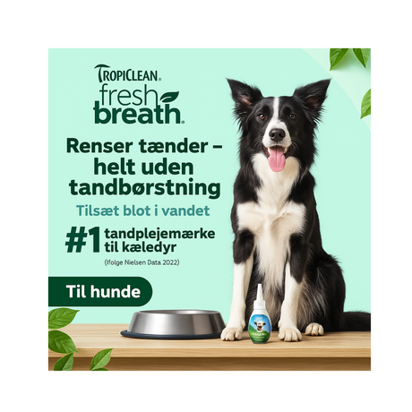Tropiclean Fresh Breath Drops – frisk ånde og daglig tandpleje på farten