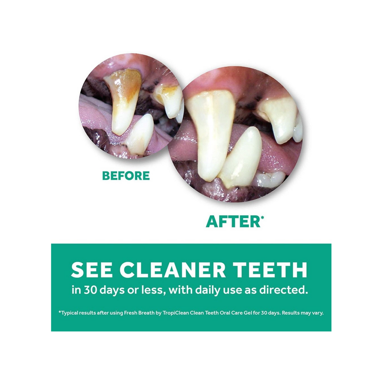 TropiClean Clean Teeth Oral Care Gel – Effektiv Tandpleje til Hunde (3 varianter)