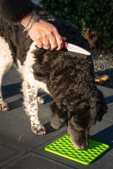 Fun & Relax Lick Mat Green – Beroligende slikkemåtte til hunde