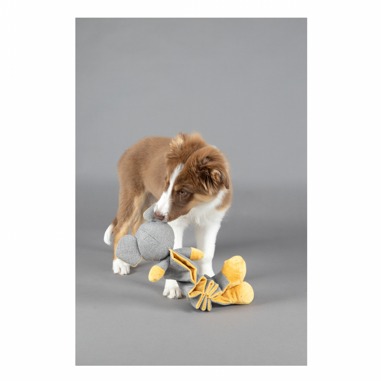 TOY PUPPY FOLSY Mouse Grey/Ochre 18x10x34 cm – Sjov og tryg legekammerat til hvalpe