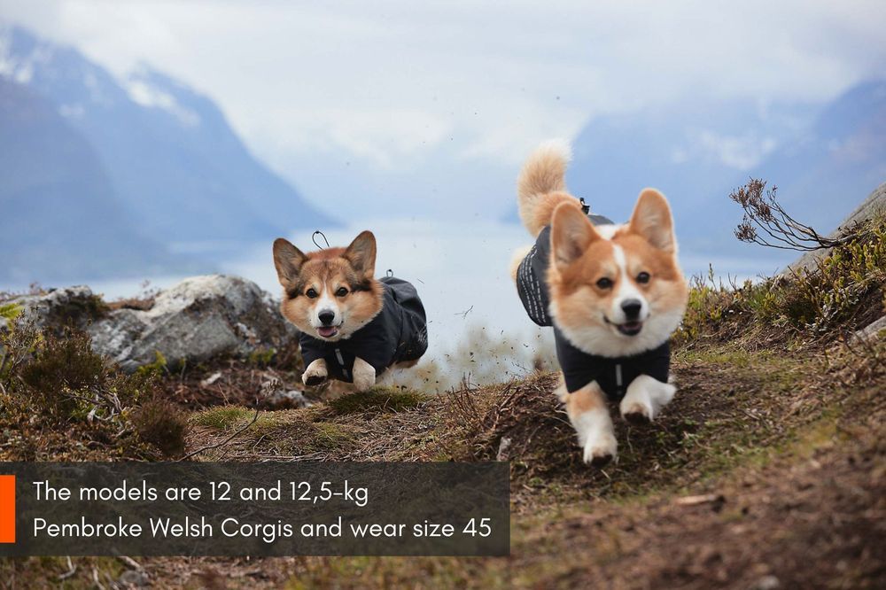 Fjord Raincoat – Ultimativ beskyttelse mod regn og vind