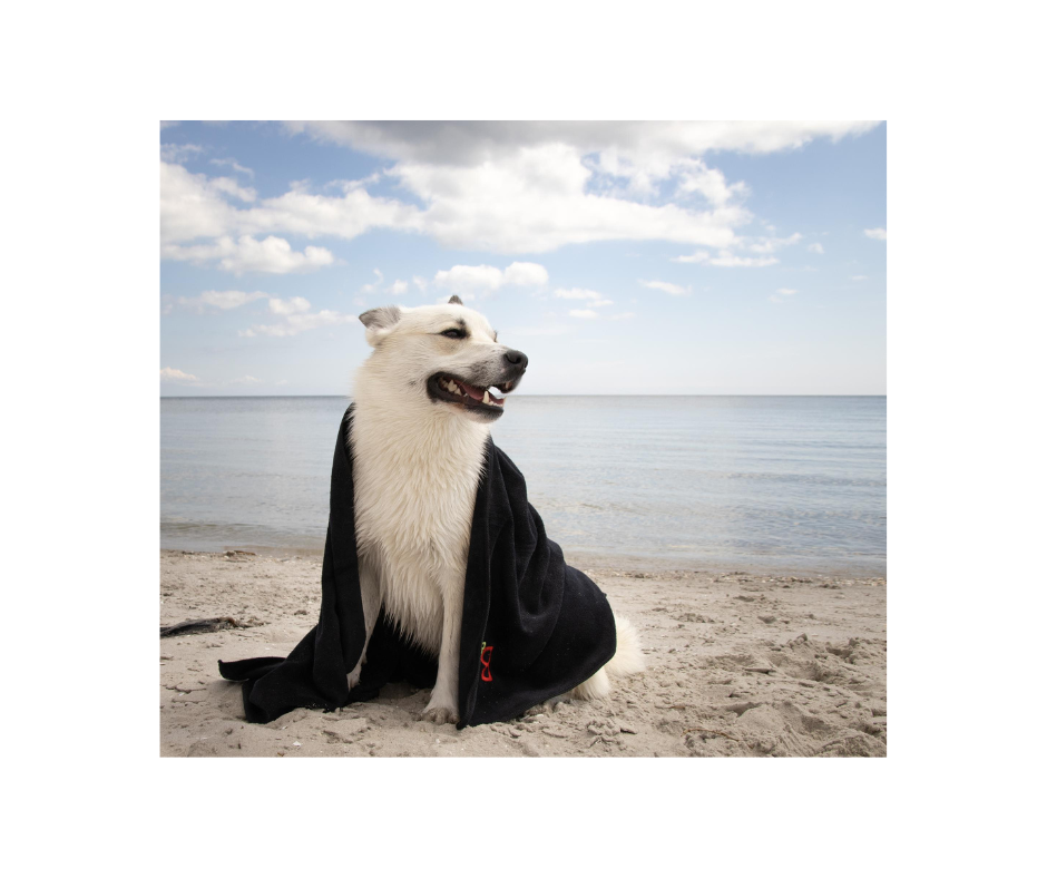 B&B Nano Håndklæde – Superabsorberende og hurtigtørrende (S/M & L/XL)