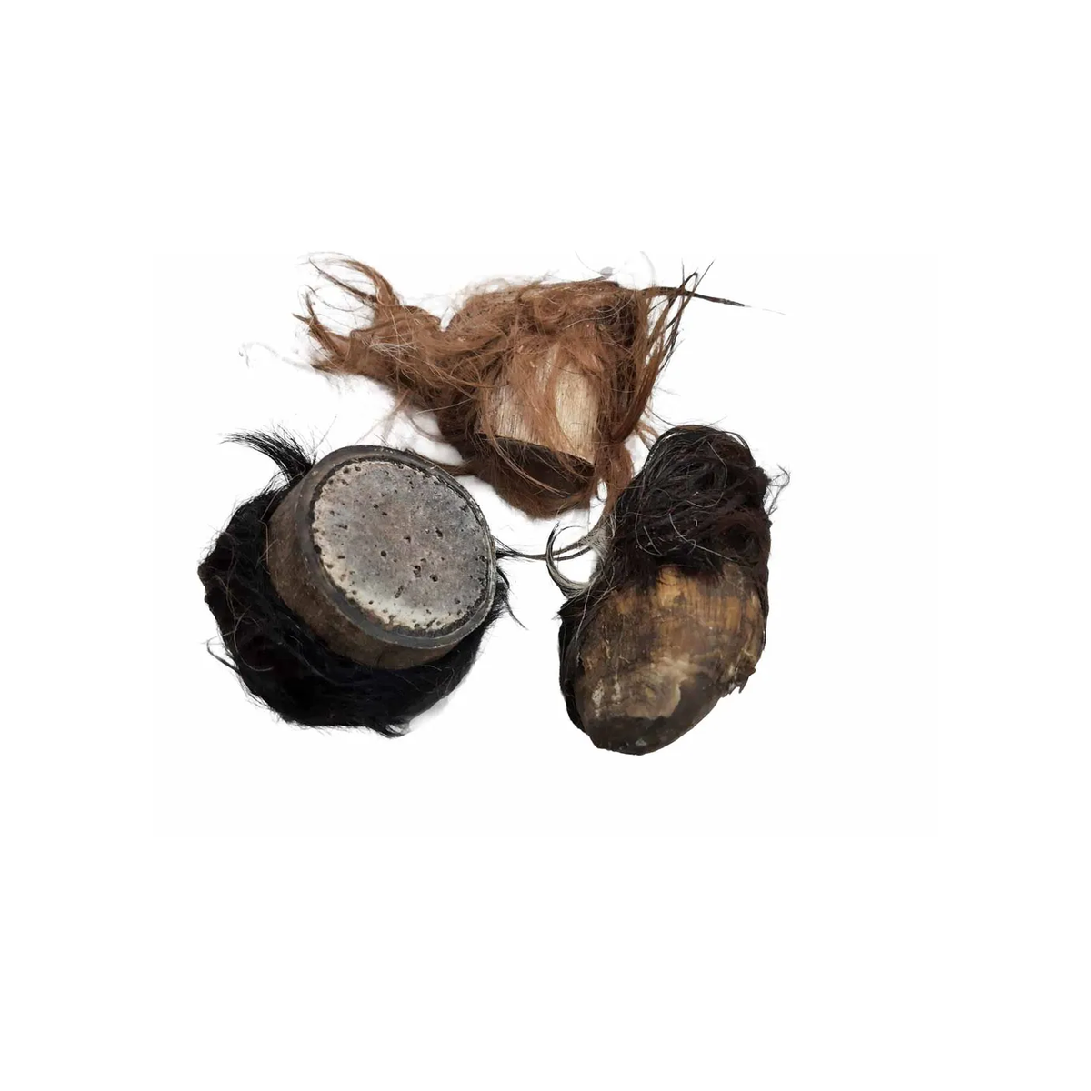 Oksehornsrod med pels – naturlig snack til hunde