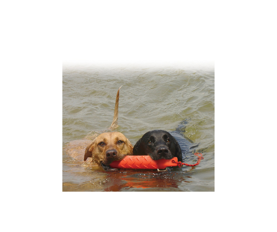 KONG Training Dummy – Holdbar træningsdummy til vand og land (L & XL)