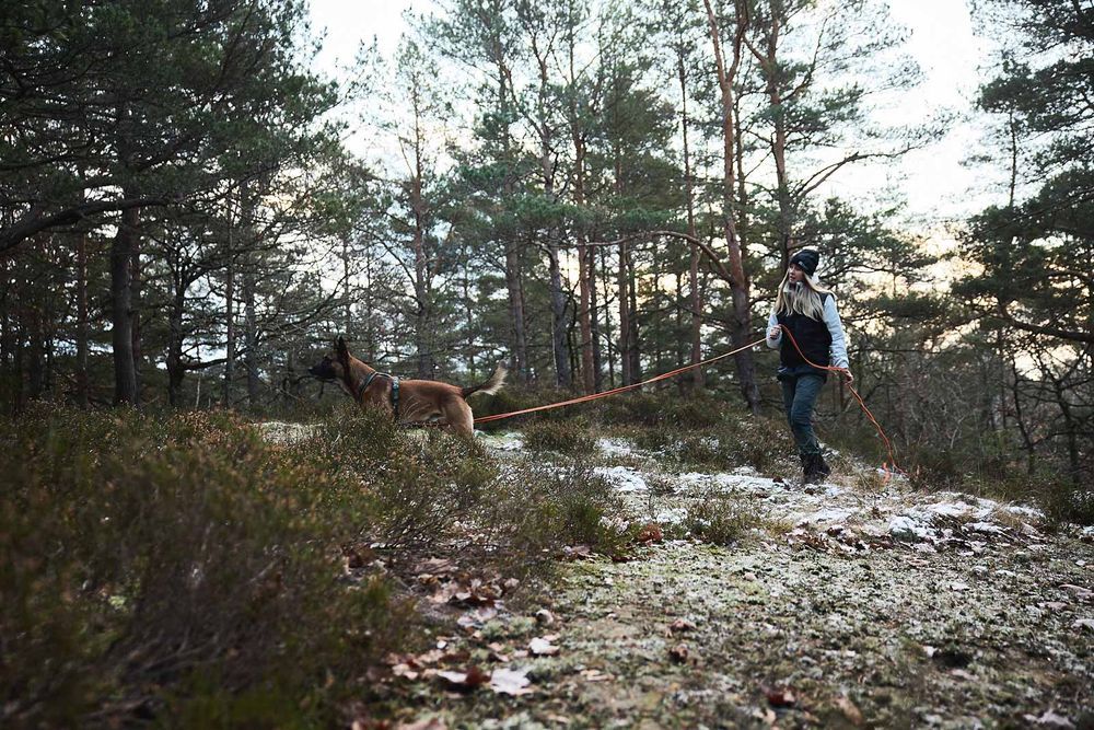 Friction Long Line 10 m – Perfekt til sporarbejde og friluftsliv