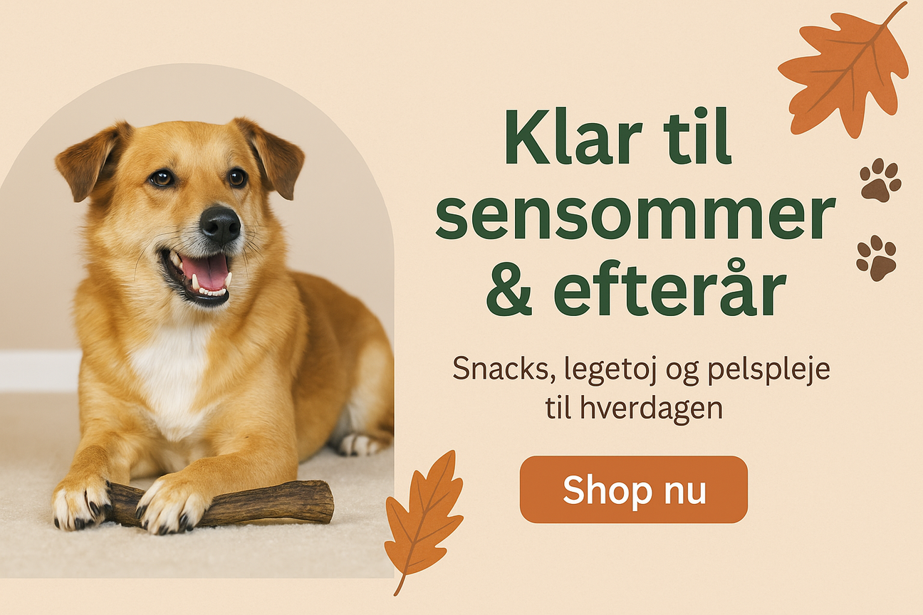 Klar til sensommer & efterår