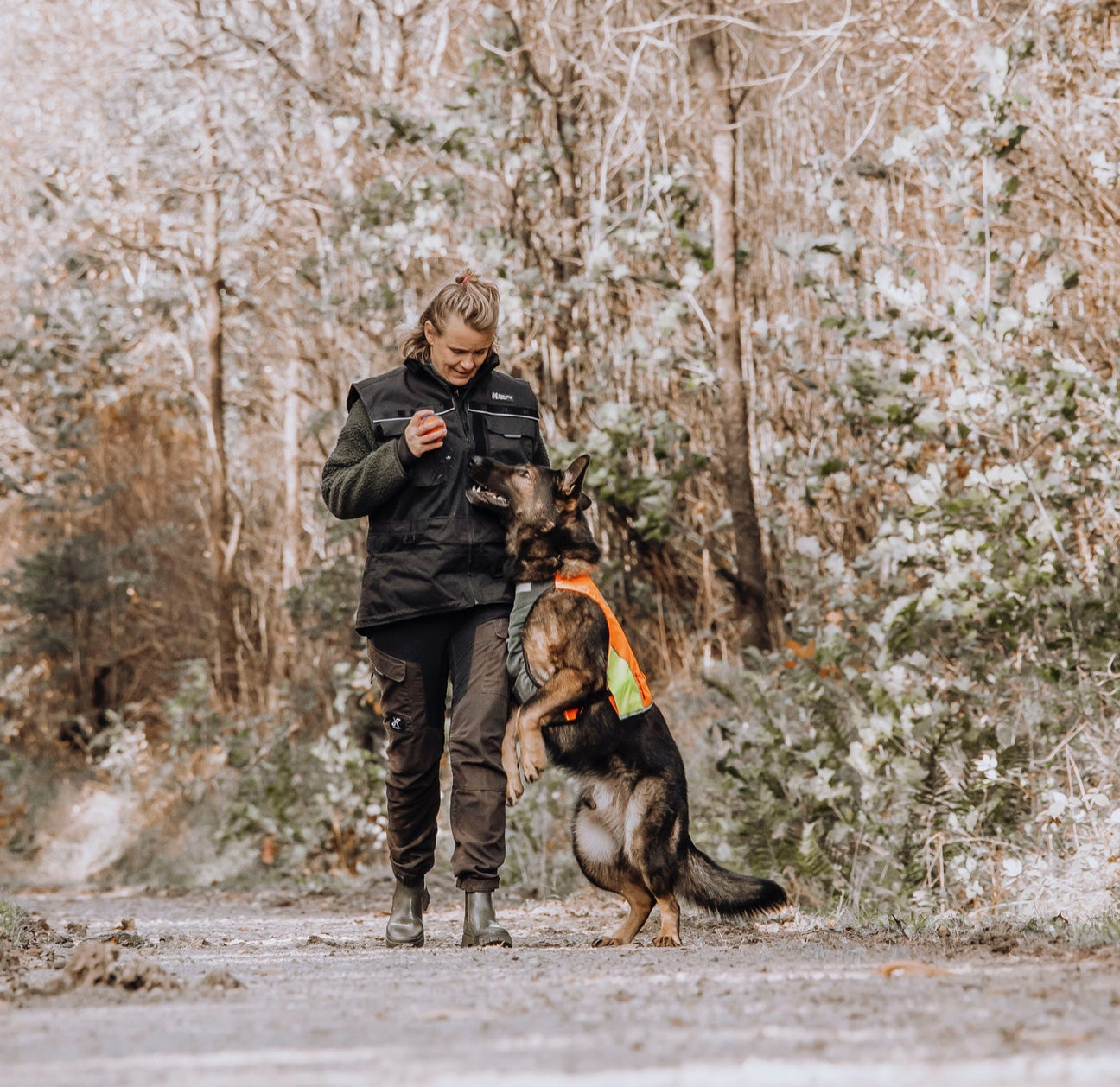 Efterårsmagi til hunde - refleks, snacks & Halloween