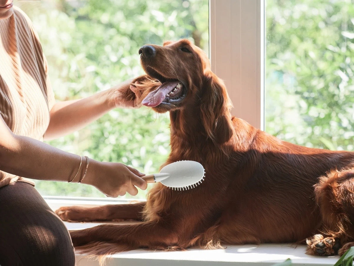 Farvel til vinterpelsen
